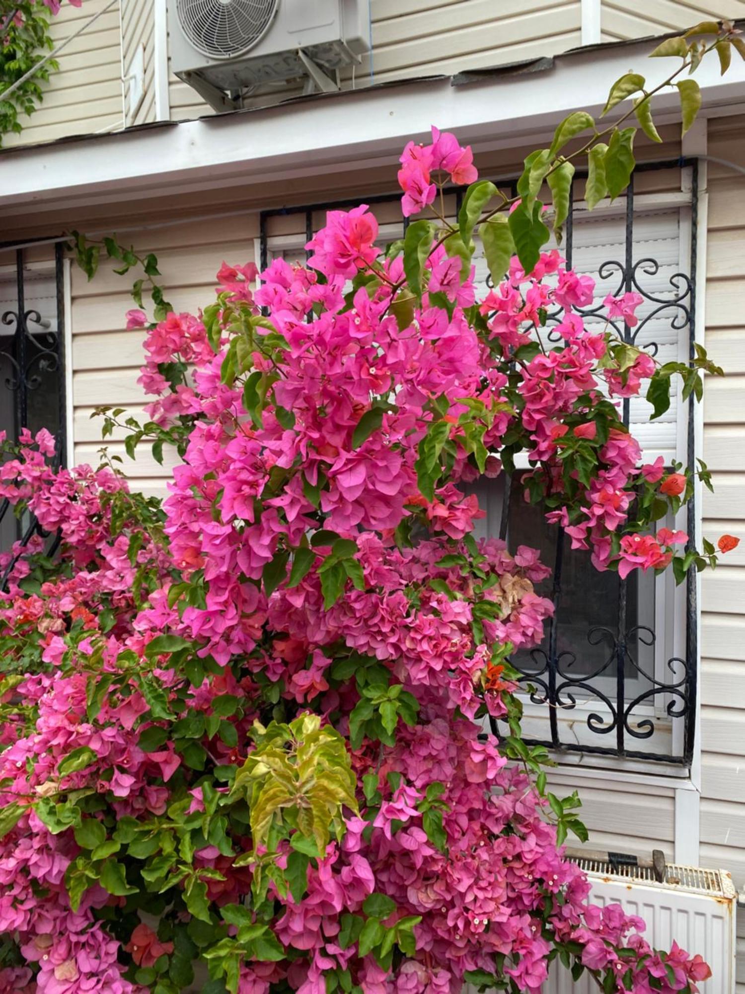 Villa Inci Çeşme Exterior foto